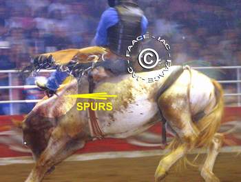 Spurs in neck and shoulders