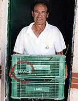 The crates of quail are taken to launcher